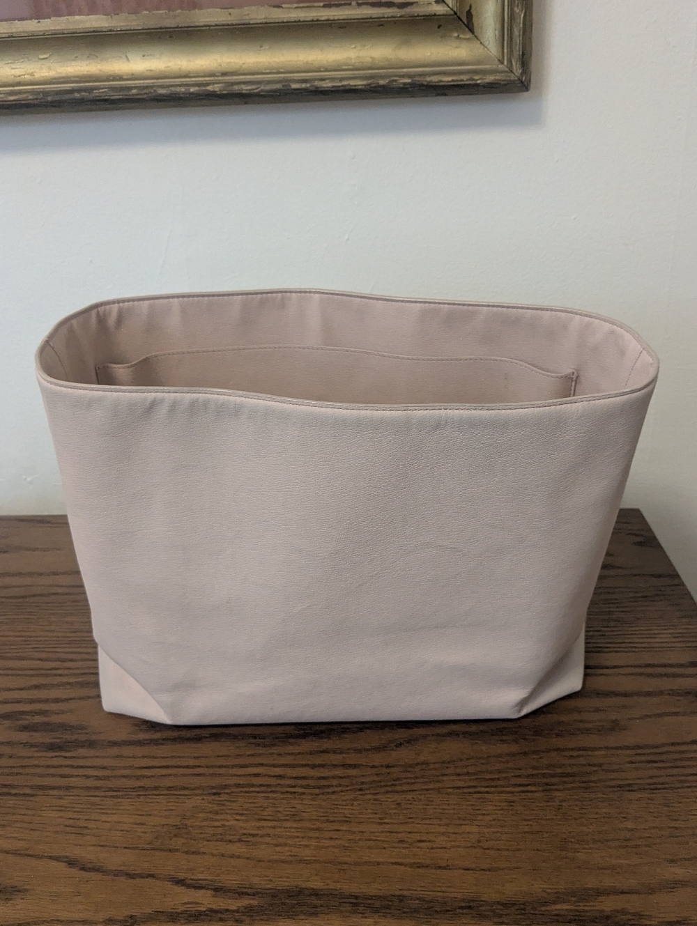 Cuyana Tote Insert In Blush